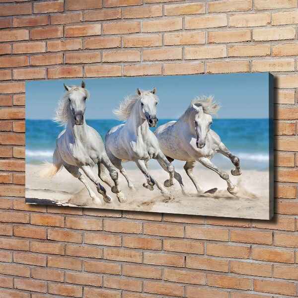 Foto canvas Witte paardenstrand