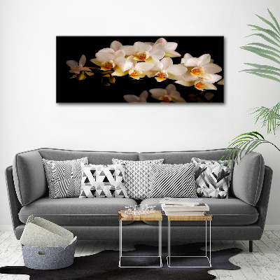 Schilderij op canvas Orchidee