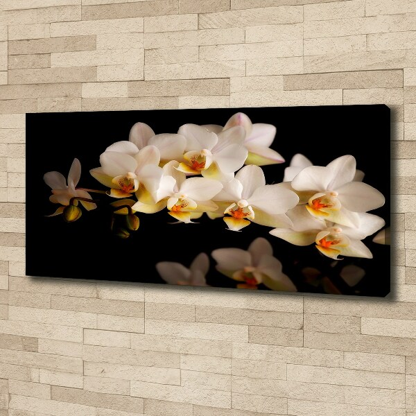 Schilderij op canvas Orchidee
