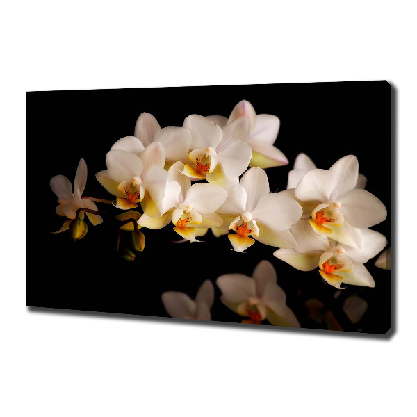 Schilderij op canvas Orchidee