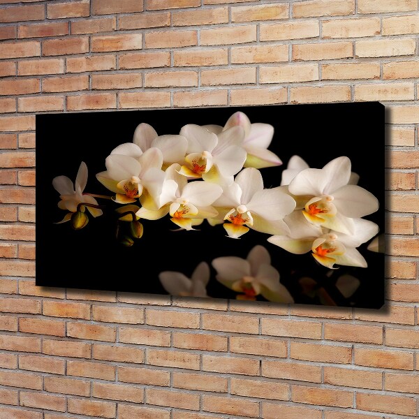 Schilderij op canvas Orchidee
