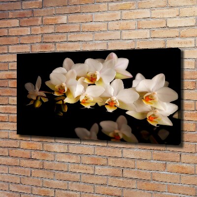 Schilderij op canvas Orchidee
