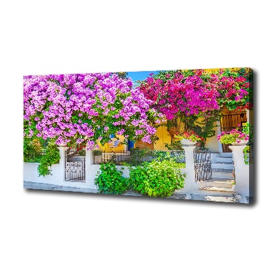 Foto canvas Huis met bougainvillea