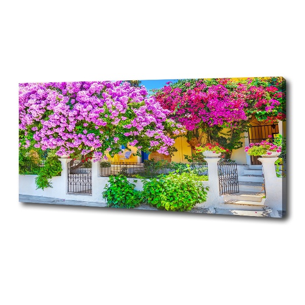 Foto canvas Huis met bougainvillea