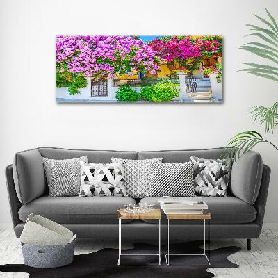 Foto canvas Huis met bougainvillea