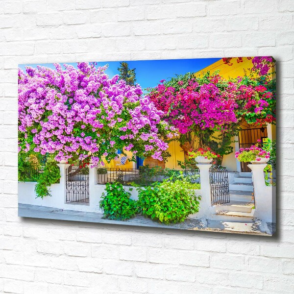 Foto canvas Huis met bougainvillea