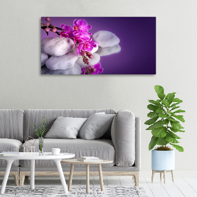 Foto obraz canvas Orchidea