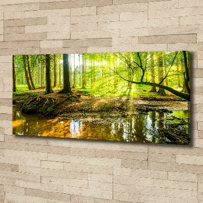 Canvas foto Een vijver in het bos