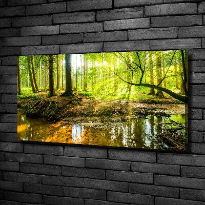 Canvas foto Een vijver in het bos