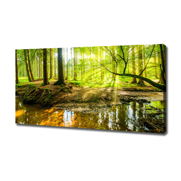 Canvas foto Een vijver in het bos