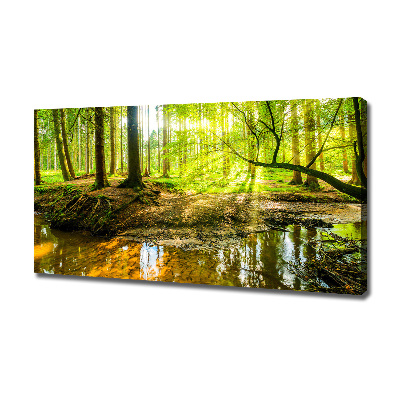Canvas foto Een vijver in het bos