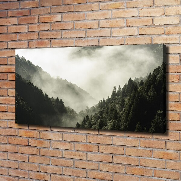 Foto op canvas Mist boven het bos