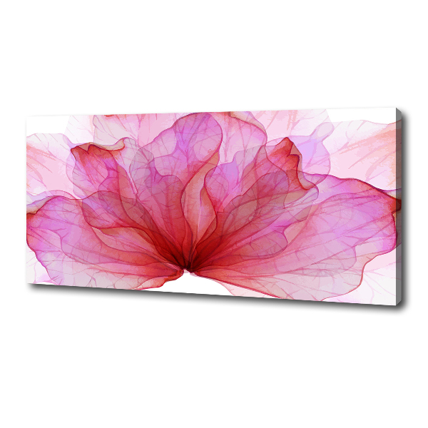 Canvas foto Roze bloem