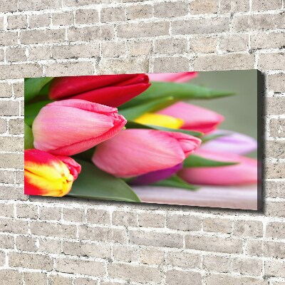 Canvas schilderij Kleurrijke tulpen