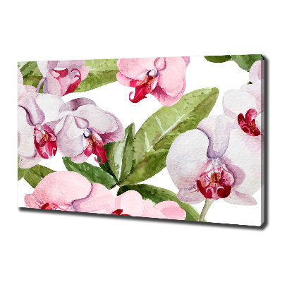 Canvas schilderij Roze orchideeën
