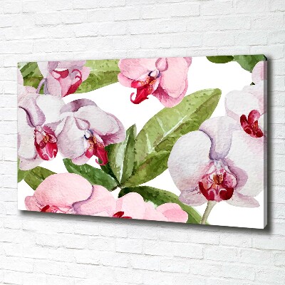 Canvas schilderij Roze orchideeën