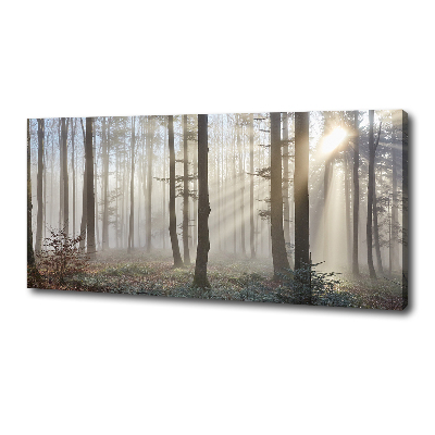 Foto canvas Mist in het bos