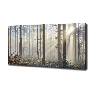 Foto canvas Mist in het bos