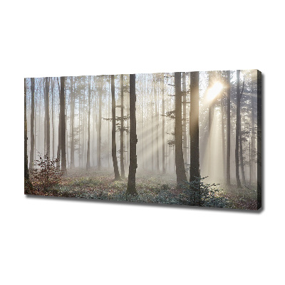 Foto canvas Mist in het bos