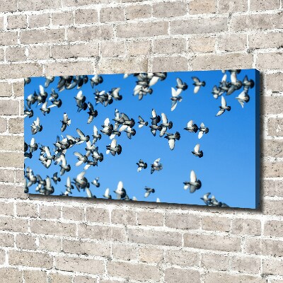Schilderij op canvas Een zwerm duiven