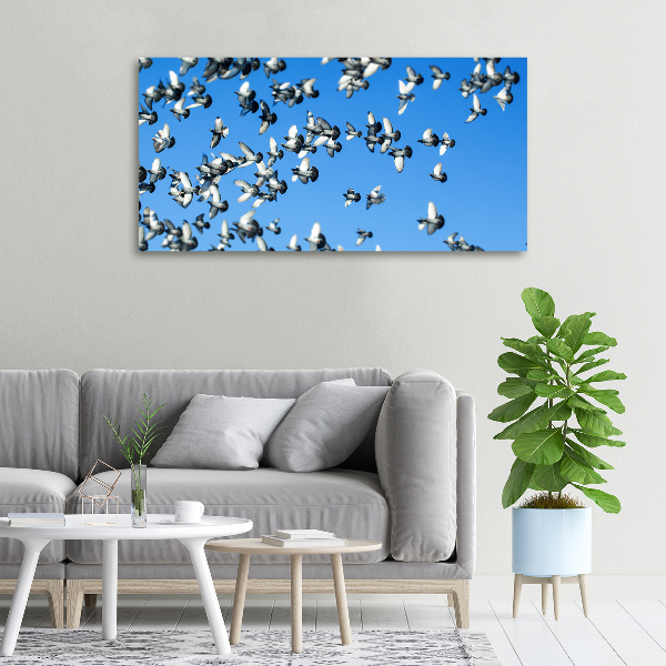 Schilderij op canvas Een zwerm duiven