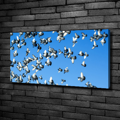 Schilderij op canvas Een zwerm duiven