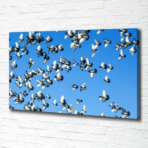 Schilderij op canvas Een zwerm duiven