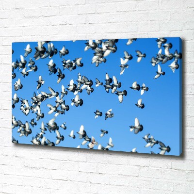Schilderij op canvas Een zwerm duiven