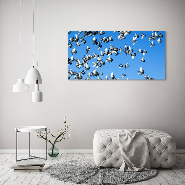 Schilderij op canvas Een zwerm duiven