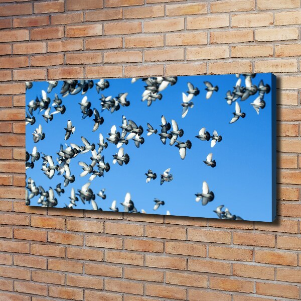 Schilderij op canvas Een zwerm duiven