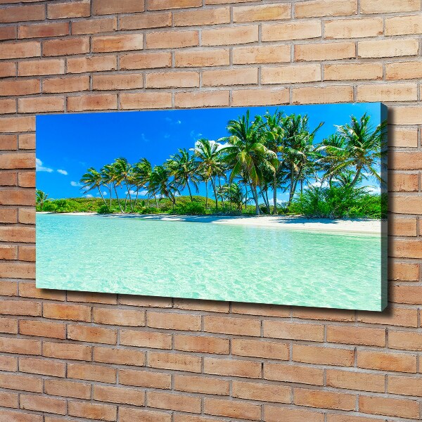 Schilderij op canvas Tropisch strand