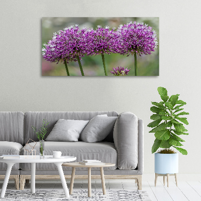 Foto op canvas Knoflookbloem