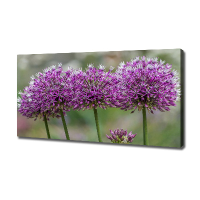 Foto op canvas Knoflookbloem