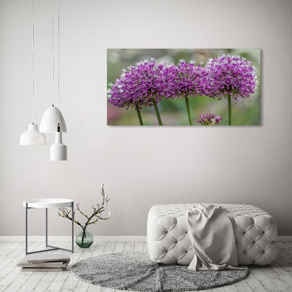 Foto op canvas Knoflookbloem