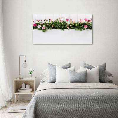 Canvas foto Roze madeliefjes