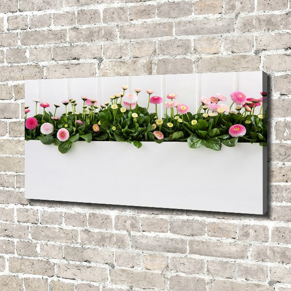 Canvas foto Roze madeliefjes