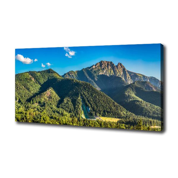 Foto canvas Panorama van het Tatragebergte