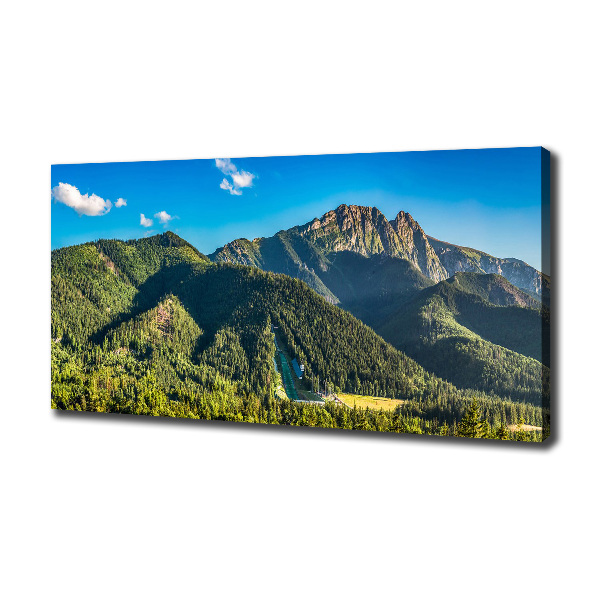 Foto canvas Panorama van het Tatragebergte