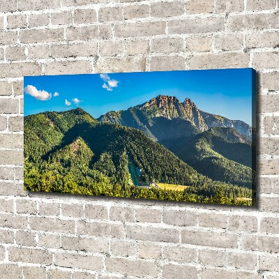 Foto canvas Panorama van het Tatragebergte
