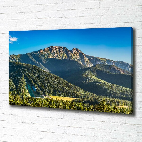 Foto canvas Panorama van het Tatragebergte
