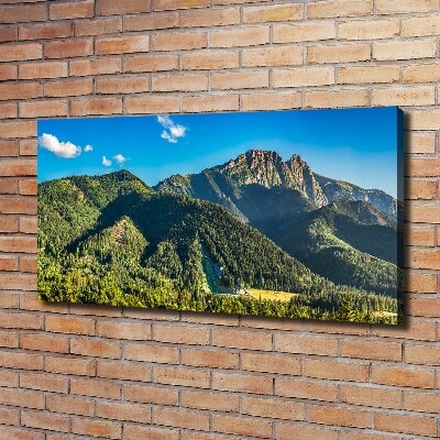 Foto canvas Panorama van het Tatragebergte