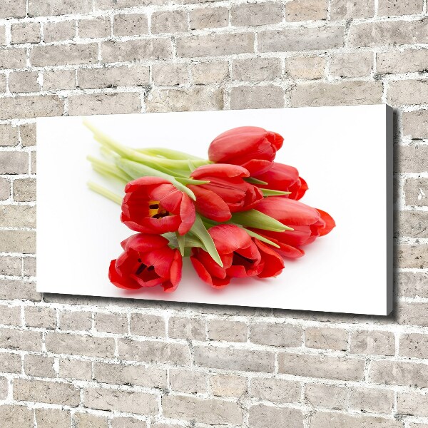 Foto canvas Rode tulpen