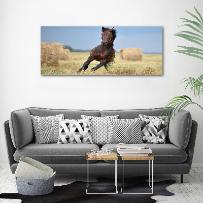 Foto op canvas Een galopperend paard