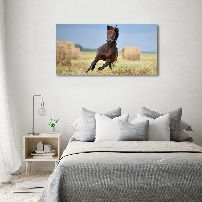 Foto op canvas Een galopperend paard