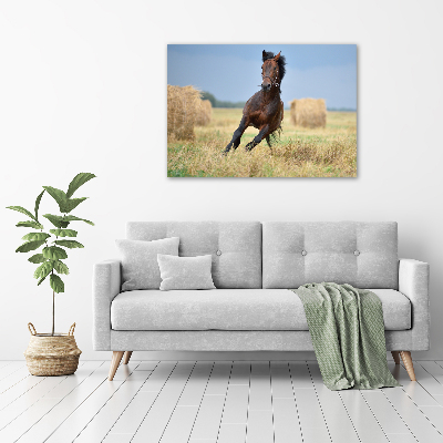Foto op canvas Een galopperend paard