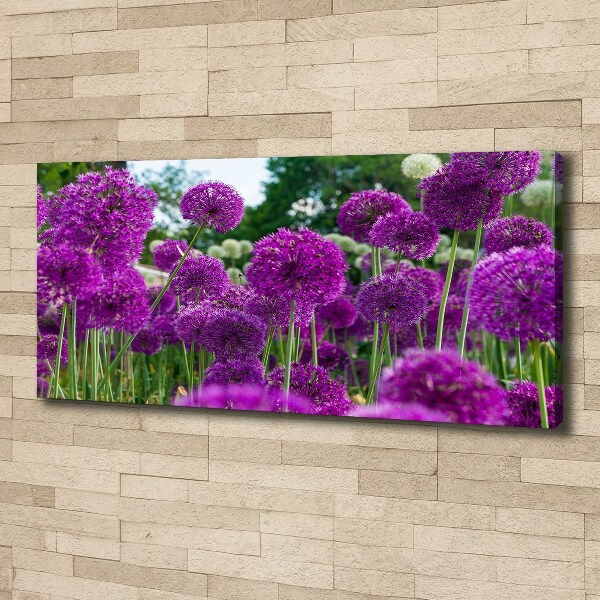 Canvas schilderij Knoflookbloemen