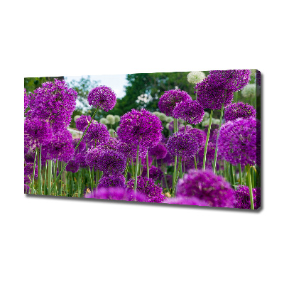 Canvas schilderij Knoflookbloemen