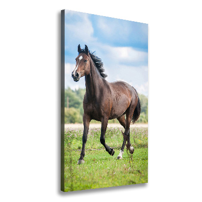 Verticale foto op canvas Een paard in een veld