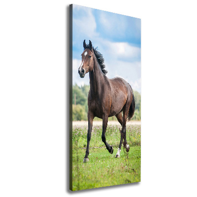 Verticale foto op canvas Een paard in een veld
