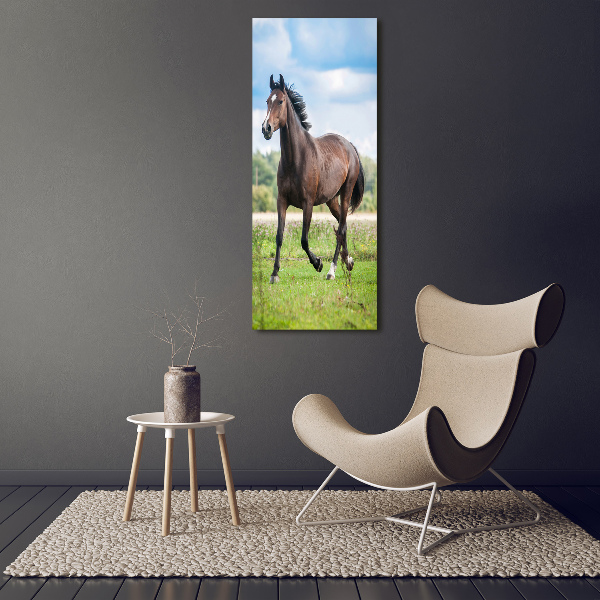Verticale foto op canvas Een paard in een veld